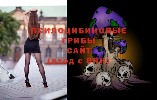 эйфоретик Новодвинск