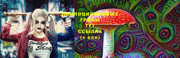 кокс Новозыбков
